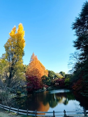 早乙女りえの写メ日記｜ローテンブルク 吉原高級店ソープ