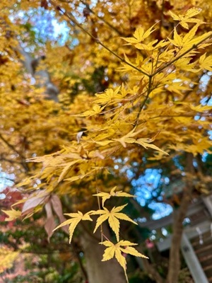 早乙女りえの写メ日記｜ローテンブルク 吉原高級店ソープ