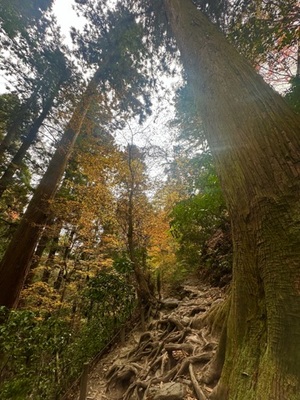 早乙女りえの写メ日記｜ローテンブルク 吉原高級店ソープ
