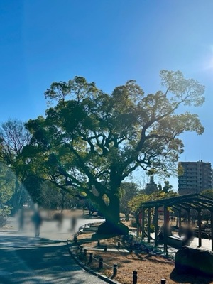 早乙女りえの写メ日記｜ローテンブルク 吉原高級店ソープ