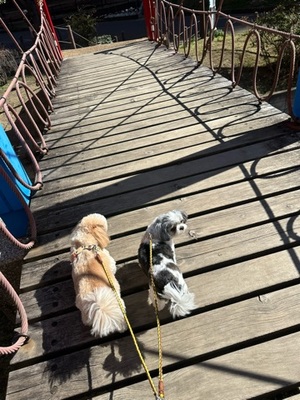 早乙女りえの写メ日記｜ローテンブルク 吉原高級店ソープ