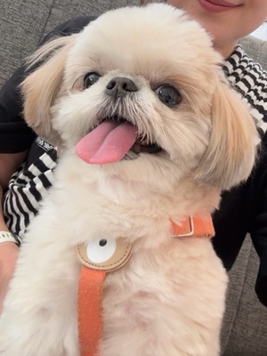 早乙女りえの写メ日記｜ローテンブルク 吉原高級店ソープ