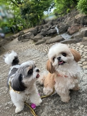 早乙女りえの写メ日記｜ローテンブルク 吉原高級店ソープ