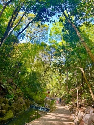 早乙女りえの写メ日記｜ローテンブルク 吉原高級店ソープ