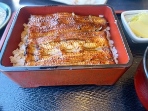 吉沢はるかの写メ日記｜ローテンブルク 吉原高級店ソープ