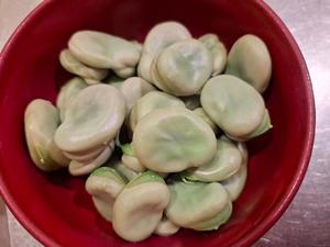 胡蝶 蘭の写メ日記｜ローテンブルク 吉原高級店ソープ