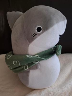 胡蝶 蘭の写メ日記｜ローテンブルク 吉原高級店ソープ