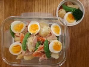 胡蝶 蘭の写メ日記｜ローテンブルク 吉原高級店ソープ