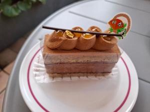 胡蝶 蘭の写メ日記｜ローテンブルク 吉原高級店ソープ