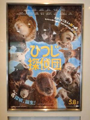 胡蝶 蘭の写メ日記｜ローテンブルク 吉原高級店ソープ