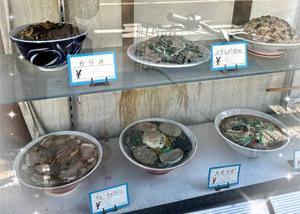 森川すみれの写メ日記｜ローテンブルク 吉原高級店ソープ