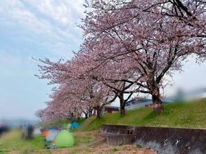 森川すみれの写メ日記｜ローテンブルク 吉原高級店ソープ