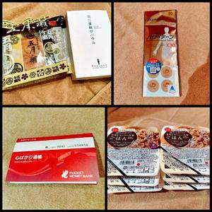 森川すみれの写メ日記｜ローテンブルク 吉原高級店ソープ