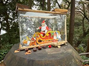 森川すみれの写メ日記｜ローテンブルク 吉原高級店ソープ