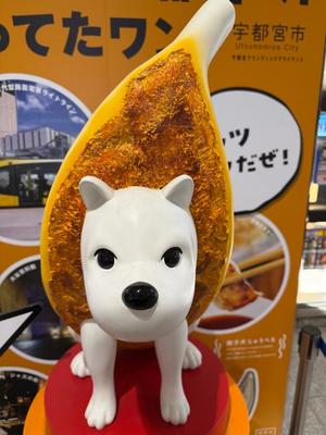 森川すみれの写メ日記｜ローテンブルク 吉原高級店ソープ