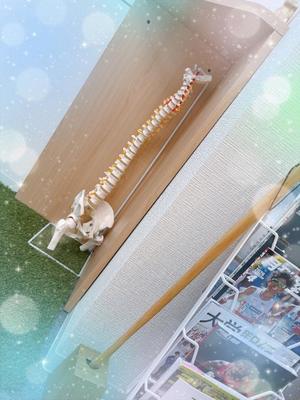 森川すみれの写メ日記｜ローテンブルク 吉原高級店ソープ
