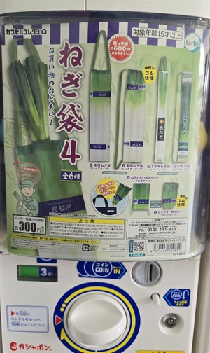 相楽ひとみの写メ日記｜ローテンブルク 吉原高級店ソープ