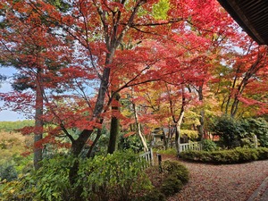 鳴沢ひろこの写メ日記｜ローテンブルク 吉原高級店ソープ