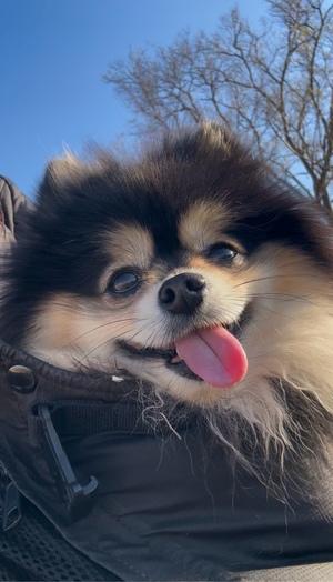 藤谷香文の写メ日記｜ローテンブルク 吉原高級店ソープ