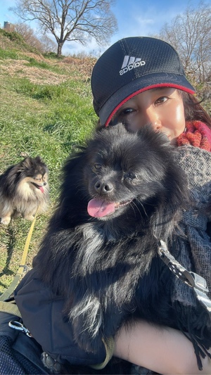 藤谷香文の写メ日記｜ローテンブルク 吉原高級店ソープ