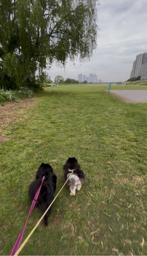 藤谷香文の写メ日記|ローテンブルク 吉原高級店ソープ