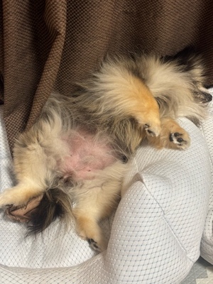 藤谷香文の写メ日記｜ローテンブルク 吉原高級店ソープ