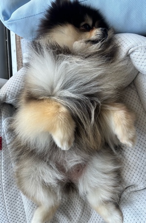 藤谷香文の写メ日記｜ローテンブルク 吉原高級店ソープ