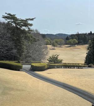 一之瀬 茜の写メ日記｜ローテンブルク 吉原高級店ソープ