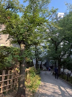 さゆりの写メ日記｜ローテンブルク 吉原高級店ソープ