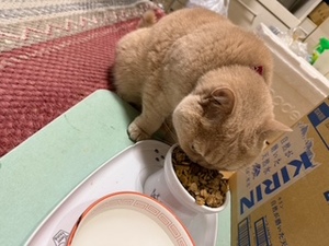 さゆりの写メ日記｜ローテンブルク 吉原高級店ソープ