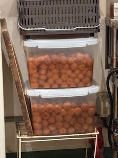 さゆりの写メ日記｜ローテンブルク 吉原高級店ソープ