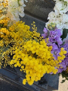 さゆりの写メ日記｜ローテンブルク 吉原高級店ソープ