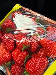 さゆりの写メ日記｜ローテンブルク 吉原高級店ソープ