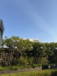 さゆりの写メ日記｜ローテンブルク 吉原高級店ソープ