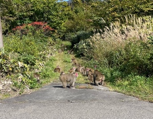 紀香の写メ日記｜ローテンブルク 吉原高級店ソープ