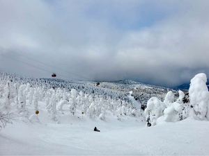 紀香の写メ日記｜ローテンブルク 吉原高級店ソープ