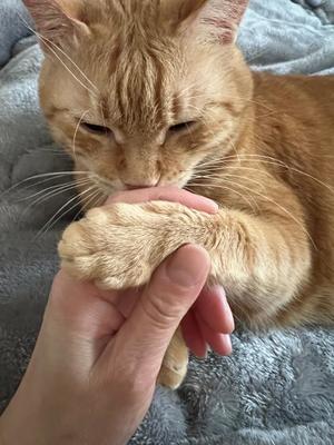 安西めぐみの写メ日記｜ローテンブルク 吉原高級店ソープ