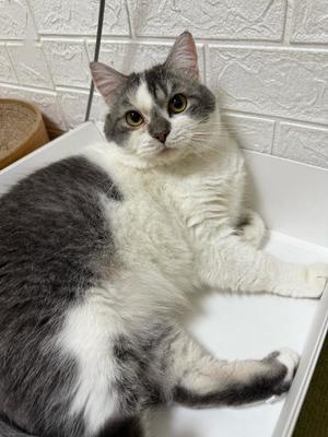 安西めぐみの写メ日記｜ローテンブルク 吉原高級店ソープ