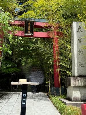 安西めぐみの写メ日記｜ローテンブルク 吉原高級店ソープ