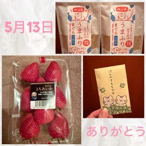 安西めぐみの写メ日記｜ローテンブルク 吉原高級店ソープ