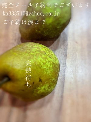 湊 かすみの写メ日記｜ローテンブルク 吉原高級店ソープ