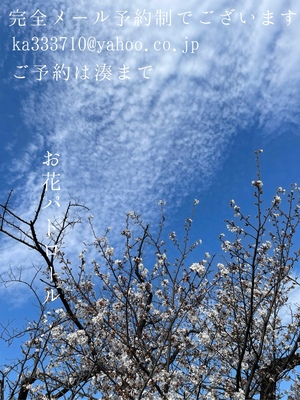 湊 かすみの写メ日記｜ローテンブルク 吉原高級店ソープ