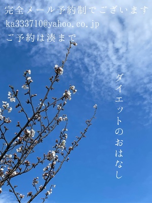 湊 かすみの写メ日記｜ローテンブルク 吉原高級店ソープ