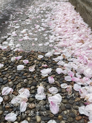 湊 かすみの写メ日記｜ローテンブルク 吉原高級店ソープ