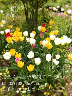 湊 かすみの写メ日記｜ローテンブルク 吉原高級店ソープ