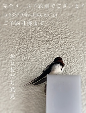 湊 かすみの写メ日記｜ローテンブルク 吉原高級店ソープ