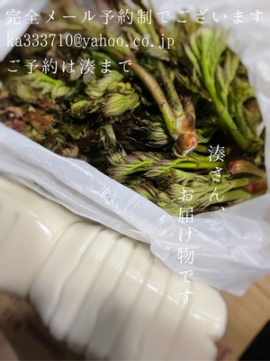 湊 かすみの写メ日記｜ローテンブルク 吉原高級店ソープ