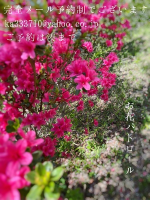 湊 かすみの写メ日記｜ローテンブルク 吉原高級店ソープ
