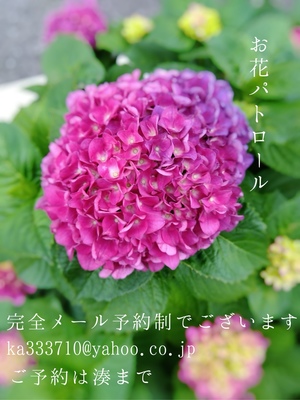 湊 かすみの写メ日記｜ローテンブルク 吉原高級店ソープ