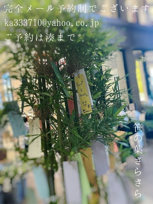 湊 かすみの写メ日記｜ローテンブルク 吉原高級店ソープ